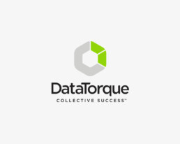 DataTorque Logo Design